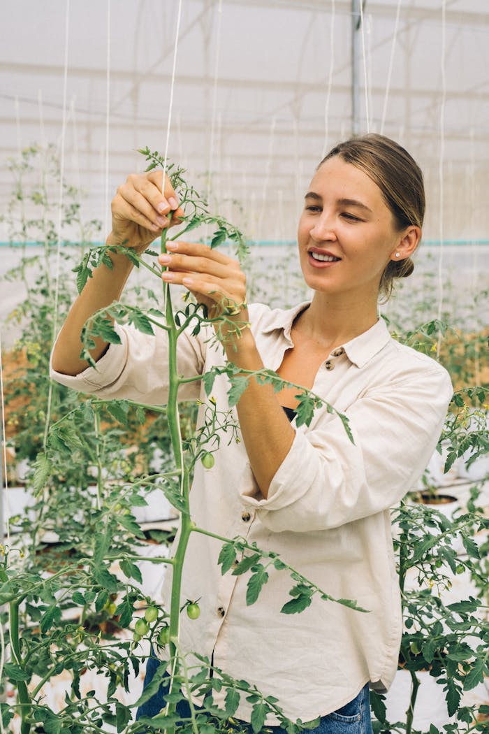 Smiling woman adjusting tomato plants in a modern greenhouse setting.