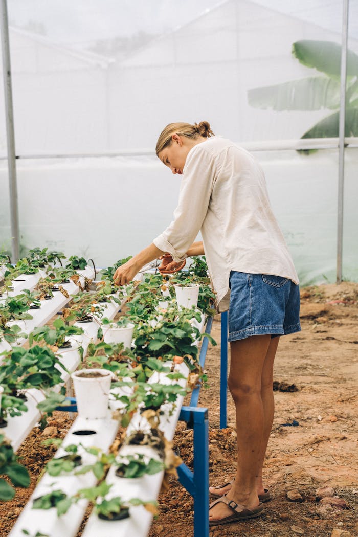 A woman caring for plants in a modern greenhouse setting, showcasing innovative agriculture.